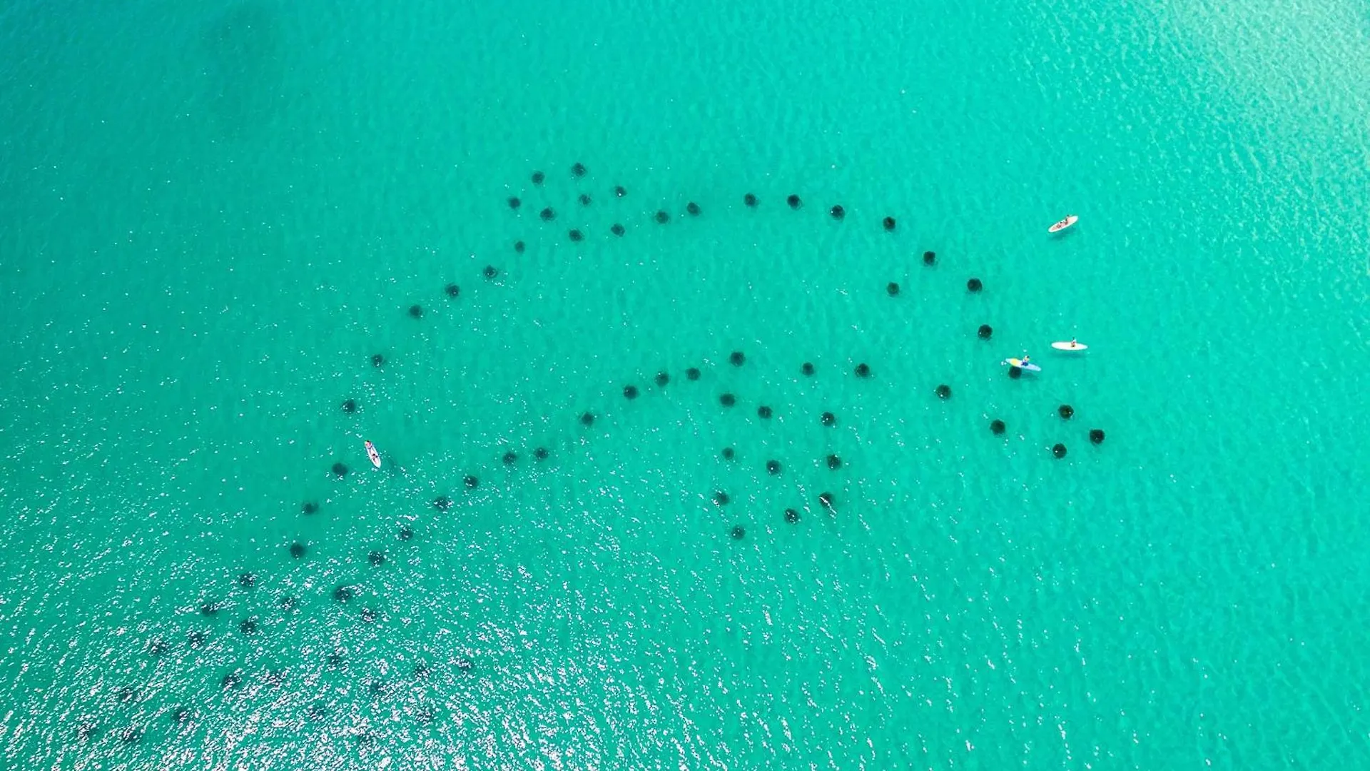 Shoreline Towers 1084- By Holiday Isle Properties Destin United States